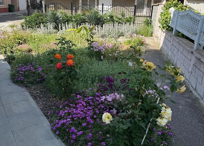 Lejlighed S&t Pomorie